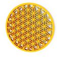 fleur de vie version 1.jpg Flower of Life