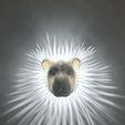 Great-Lion-Wall-Light7.jpg Bright Art Collection