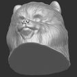 19.jpg Puppy of Pomeranian dog head for 3D printing