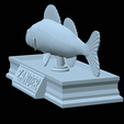 zander-statue-4-open-mouth-1-39.png fish zander / pikeperch / Sander lucioperca  open mouth statue detailed texture for 3d printing