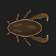 002.jpg Diving Beetle v.1 (Mold+Master)