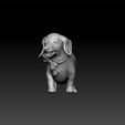 dogggg2.jpg Dachshund Dog - cute dog - lovely dog - dog for 3d print