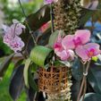 Butterfly-Planter.jpg Butterfly & Dragonfly Themed Orchid Planter Set