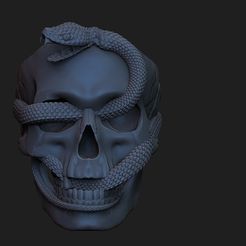 ZBrush-Document.jpg ring skull with snake