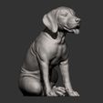 Fila-Brasileiro-puppy9.jpg Fila Brasileiro puppy 3D print model