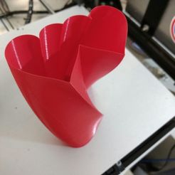WhatsApp_Image_2017-07-26_at_6.57.04_AM.jpeg Free STL file Double Heart Twisted Vase・3D printing design to download