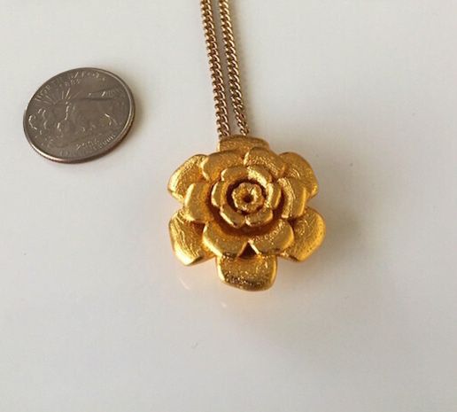 625x465_1942047_9119248_1424407411.jpg Pétalos de la flor colgante