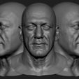 Hulk-Hogan-portada.jpg Modelo 3D de escultura à imagem de Hulk Hogan