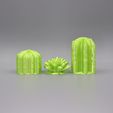 Cactus-Pot-plants-Tops-front.jpg Cactus Pot Plants