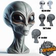 Grey-Alien-Bust-G.jpg Grey alien bust G