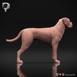 Boxer-Pose-02-Dog-3D-Print-3s.jpeg Chien Boxer Modèle imprimé en 3D Pose 02