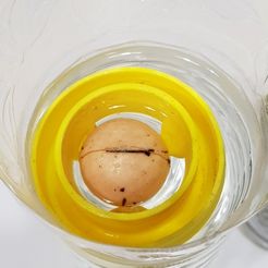 20211124_211021.jpg Free STL file avocado tool・3D printer model to download