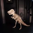 DINO2.jpeg T-Rex Interconectado