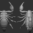 18.png Scorpion