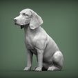 beagle2.jpg 3D-Datei Beagle 3D-Druckmodell・3D-druckbares Modell zum herunterladen