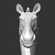 03.png Zebra Head AM19 3D print model