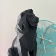 IMG_1492.jpg lion