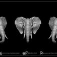 1.jpg Archivo 3D Elephant key holder・Design para impresora 3D para descargar
