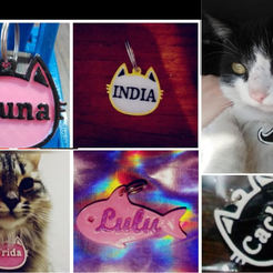 chapa-gato.png pet dog dog cat identification badges
