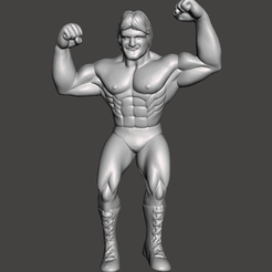 Screenshot-1292.png Файл STL WWE WWF LJN Style Мистер Чудесный Пол Орндорфф фигурка・Модель для печати в 3D скачать