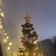 20231209_104436.jpg Etoile de noel / C star