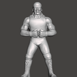 Screenshot-1233.png WWE WWF LJN Style NWO Hollywood Hogan Custom Flexing Sculpt