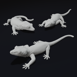Full.png 3D-Datei Gargoyle Gecko Haustier Reptil・Modell zum Herunterladen und 3D-Drucken