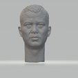 1.png Simon Yam - Ren Dahua Head 3D печатная модель