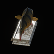 Peacock-Bass-statue-4-3-8.png FISH in motion Peacock bass (Cichla ocellaris) stone base for 3d printing