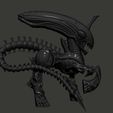 3.jpg My Little Xeno pony xenomorph aliens