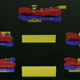 Image-0009.png Chromosome genetic recombination blender 3d