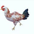 IIIIIIO.jpg CHICKEN - DOWNLOAD CHICKEN 3d Model - animated for Blender-Fbx-Unity-Maya-Unreal-C4d-3ds Max - AND 3D Printing HEN HEN CHICKEN hen, chicken, fowl, coward, sissy, funk -BIRD -  POKÉMON - GARDEN