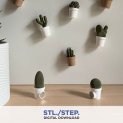 Foto-Etsy.jpg Magnectus | 3D magnets | Digital Files | 3D fridge magnets | 3D digital file | 3D stl file | 3D model STL | magnet cactus | succulent 3D