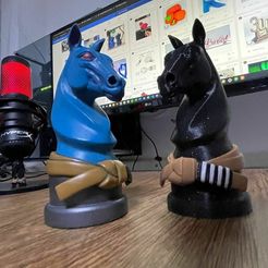 a83f6252-9b76-44f8-92f5-df5f848ba5ba.jpg bjjchess - custom horse1