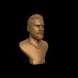 29.jpg Tom Hardy bust sculpture 3D print model