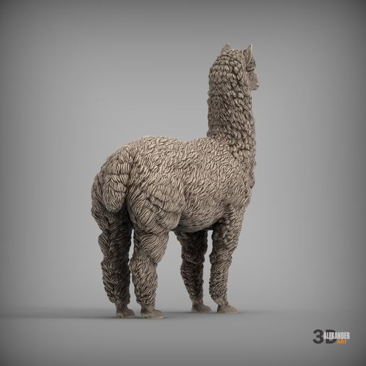 alpaca7.jpg alpaga