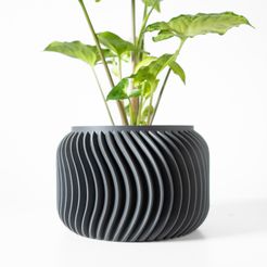 DSC07918.jpg The Vilex Planter Pot with Drainage Tray & Stand: Modern and Unique Home Decor for Plants and Succulents  | STL File