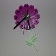 IMG_6094.JPG Flower clock