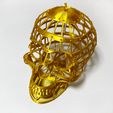 IMG_7395.jpeg Golden Cage Skull