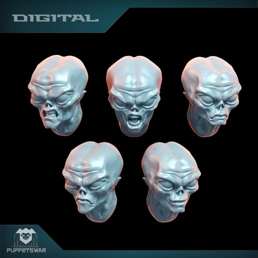 alien-1.jpg Grey Alien Heads