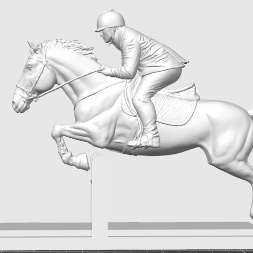 Show Jumping Bust