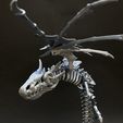 IMG_E4351.jpg Biting dragon skeleton