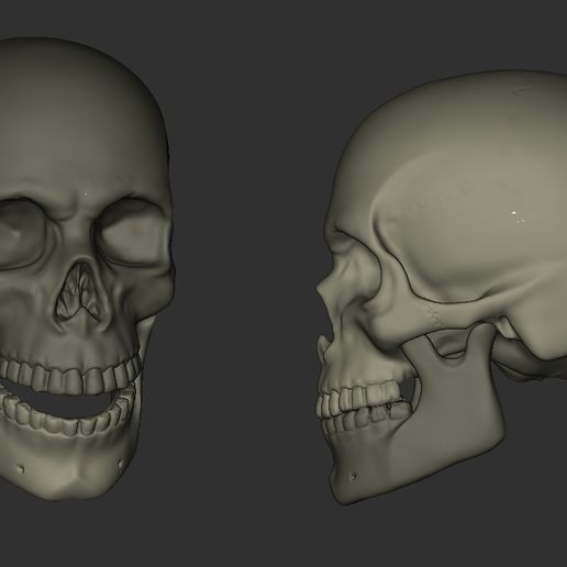 SKULL