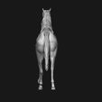 14.jpg Thoroughbred Horse model 3D print model