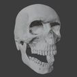 skull_3D_3.JPG Realistic Human Skull Anatomy stl and OBJ