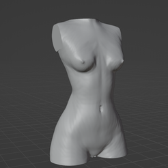 torso-woman.png STL file NAKED WOMAN TORSO・Model to download and 3D print