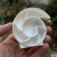 IMG_1310s.jpg Archimedian spiral mini shelf