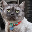 3.png Customizable Cat Collar