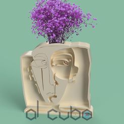 Maceta-picasso-Banner.jpg Piccaso's Dried Flower Vase