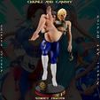 Z-1.jpg Chun Li and Cammy White - Street Fighter - Collectible Rare Model